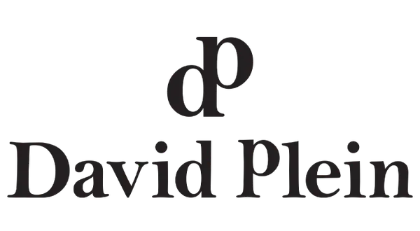 Logo David Plein